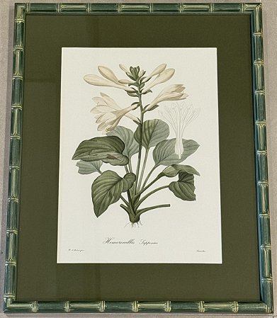 QUADRO GRAVURA FLORES SAPPONICA COM PASPATUR VERDE E MOLDURA BAMBU VERDE