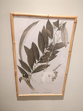 QUADRO DESMONCUS CUYABAWNSIS COM MOLDURA BAMBU NATURAL