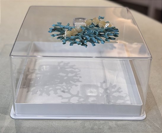 PORTA FRIOS E FRUTAS MARAGOGI COM TAMPA ACRILICO CORAL TURQUESA- QUADRADA