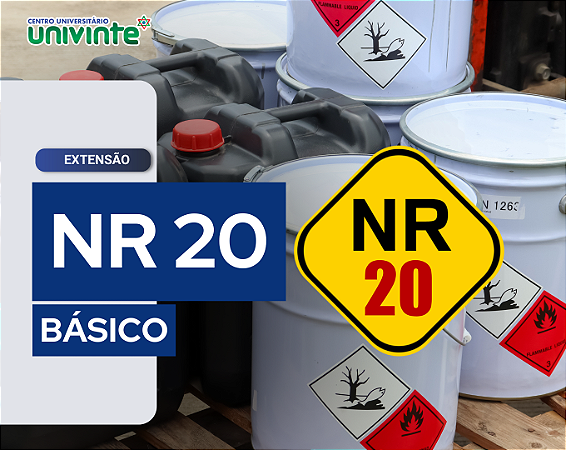 NR 20 - SEGURANÇA E SAÚDE NO TRABALHO COM INFLAMÁVEIS E COMBUSTÍVEIS - Básico