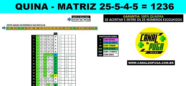 Planilha Quina - Esquema com 25 Dezenas e Garantia de Quadra