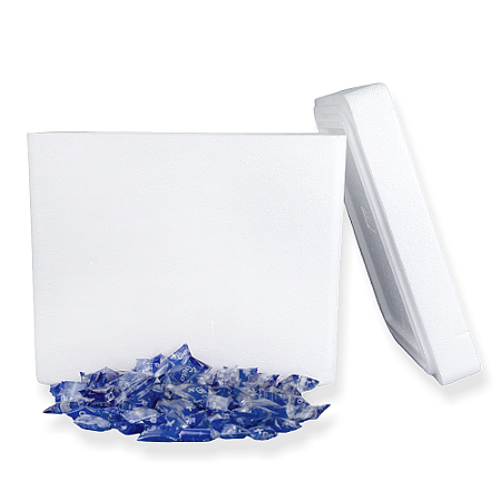 Kit 1 Caixa Eps 20 Litros ISOPOR® Com 200 Unidades De +Gelo 15g