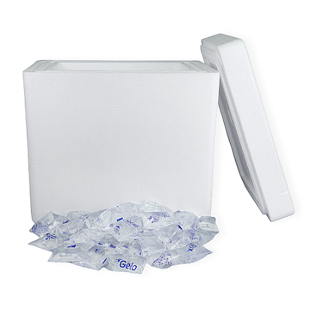Kit 1 Caixa Eps 20 Litros ISOPOR® Com 100 Unidades De +Gelo 65g