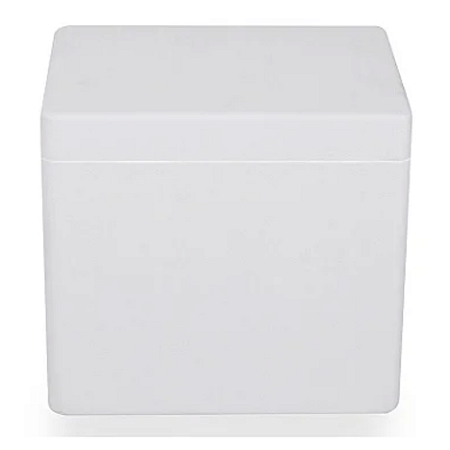 Caixa EPS ISOPOR® 04 Litros Parede Dupla - Só Caixa