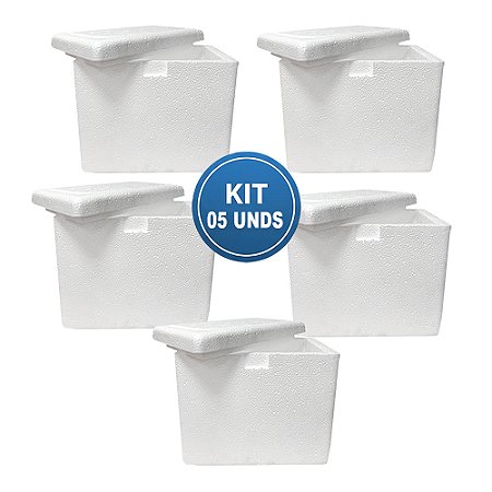 Caixa EPS ISOPOR® 03 Litros Parede Simples - Kit com 05 unidades