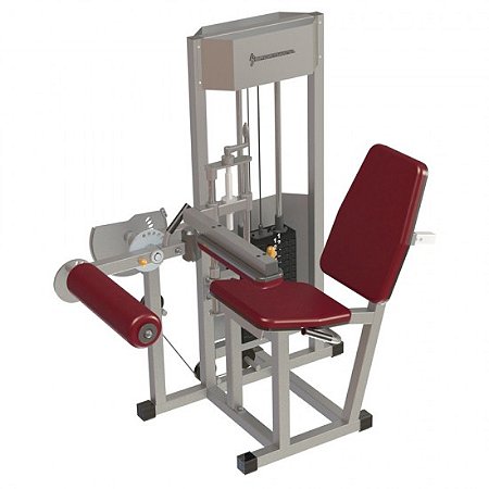 Cadeira Flexo Extensora 80kg - Sportwalk