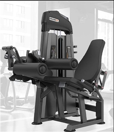 Cadeira Extensora e Flexora de Pernas EF 6110 Evolution
