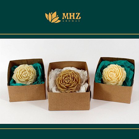 kit n 7 caixinha mhz aromas