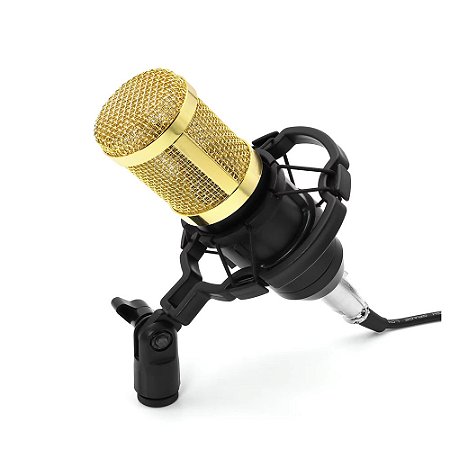 Microfone Condensador Profissional Leboss BM-800 Dourado