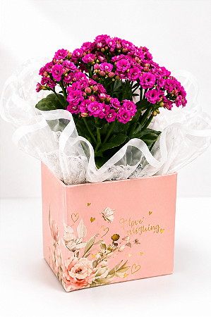 Kalandiva Rosa Premium – Flor da Felicidade e Amor