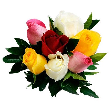 Buquê de 6 Rosas Coloridas