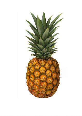 Abacaxi Grande - Caixa com 10 Unidades