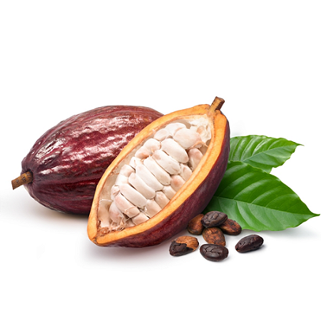 Cacau - Caixa com 12kg