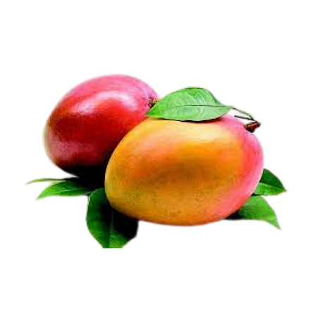 Manga Tommy - Caixa de 18kg