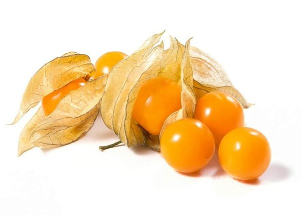 Physalis - Caixa com 8 Embalagens com 100g
