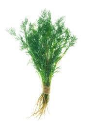 Endro Dill - Maço com 150g