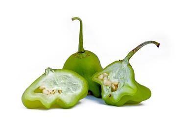 Pimenta Cambuci - Caixa com 8 kg