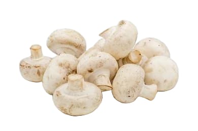 Cogumelo Sujo - Bandeja com 500g