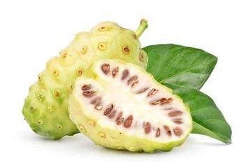 Noni - 4 Embalagens de 400g