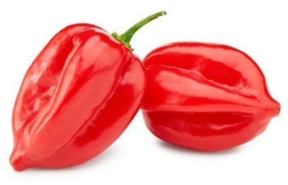 Pimenta Habanero Vermelha - Caixa com 1kg