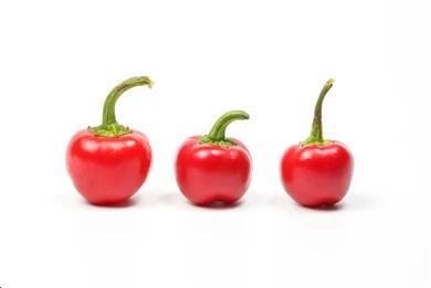 Pimenta Bode Vermelha - Caixa com 1 kg