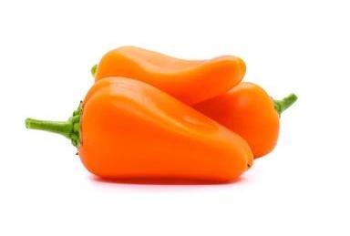 Pimenta Fidalga - Caixa com 1 kg