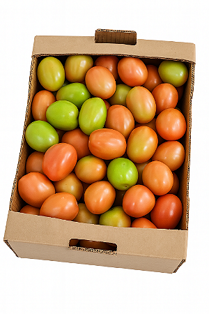 Tomate Italiano Salada - Caixa com 18kg 3A