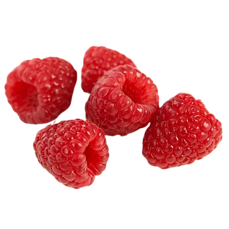 Framboesa Fresca Importada - 1kg (10 bandejas de 100g)