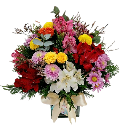 Alegria Floral