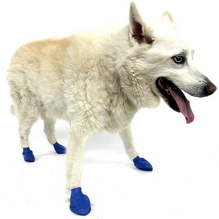 Pawz Azul - Botas para Cães - Tamanho Médio