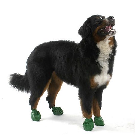 Pawz Verde Escuro - Botas para Cães - Tamanho X Large (X Grande)
