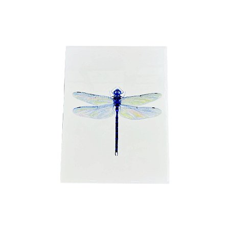 Azulejo 15x20cm - Libelula
