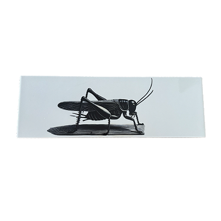 Azulejo med. 10x30cm Grilo