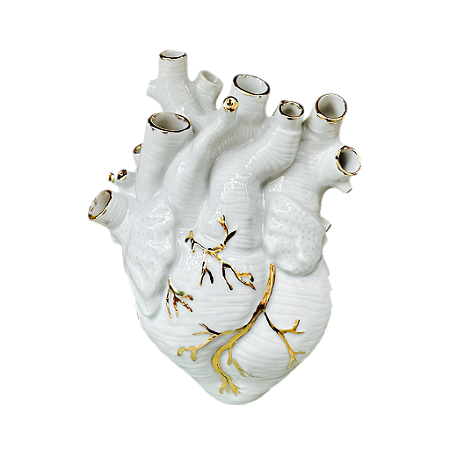 Vaso Coração Artéria G de Parede