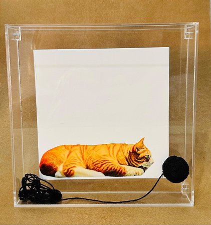 Quadro em Acrílico com azulejo Gato Novelo lã