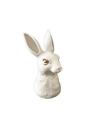 Coelho Vaso