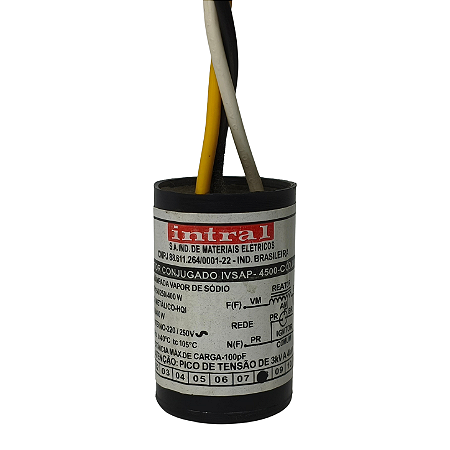 Ignitor IVSAP-4500 - 00954 - INTRAL