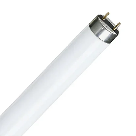 Lâmpada 16w Fluorescente Tubular 60Cm Branca
