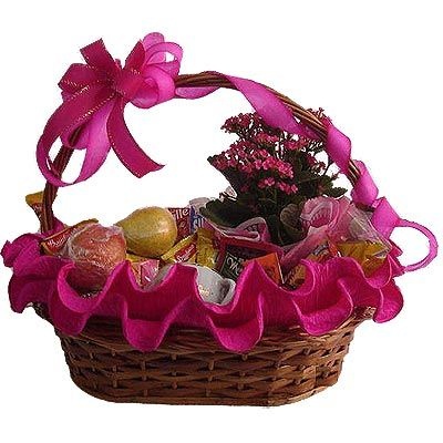 cesta 2   - 15 itens