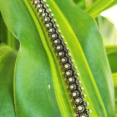Pulseira Bali Pikun Quadrada em Prata 925