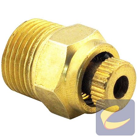 Válvula Purgadora 3/8'' Recartilhada - Motocompressores - Compressores Odonto - CHIAPERINI