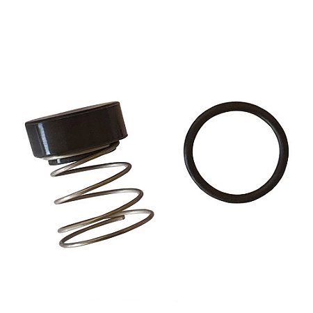 Kit Reparo Válvula Retenção 1/2" - CHIAPERINI