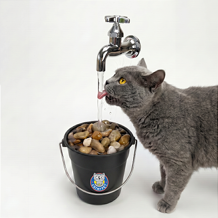 Bebedouro CatMyPet 2.0 - Fonte para Gatos Magicat