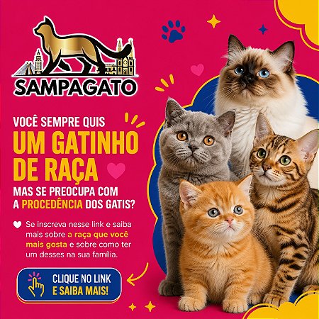 🐱 SONHA EM TER UM GATINHO DE RAÇA!?