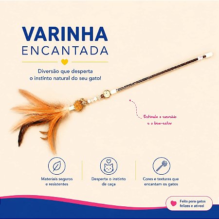 Varinha Encantada - Brincadeiras de Gato Marrom