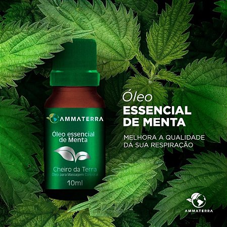 Óleo Essencial Puro De Menta ml Amma Terra Suplementos Cosmétivos Fitoterápicos Óleos