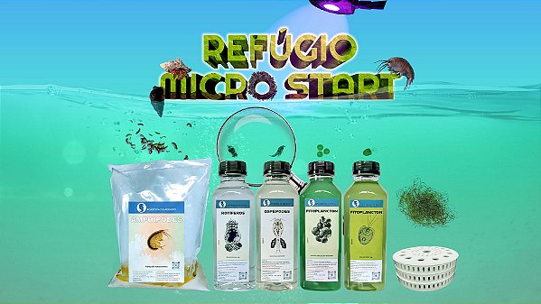 REFUGIO START
