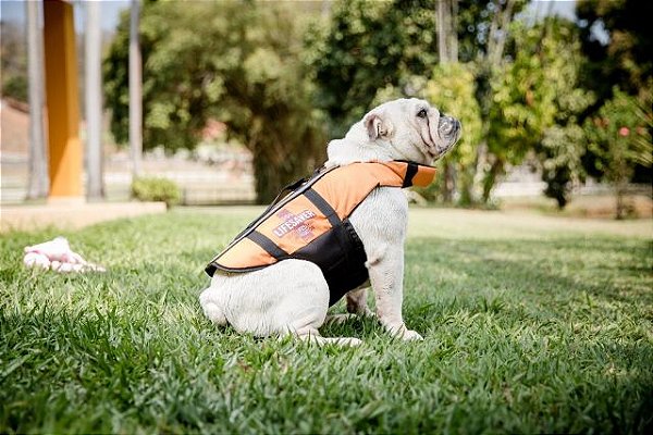 Colete Salva Vidas para Cachorro