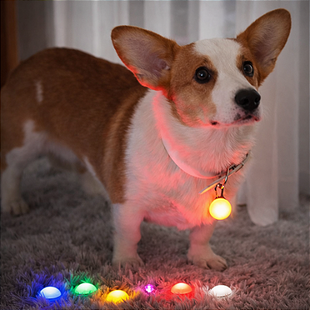 Sinalizador Noturno para Passeios com Cães