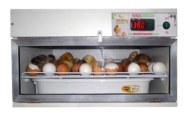 Chocadeira Pantanal Bivolt 120 Ovos de galinha, viragem automatica, 100% digital, ventilação forçada